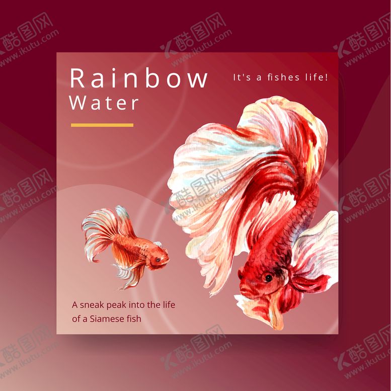 编号：37089510021539010874【酷图网】源文件下载-水彩斗鱼广告