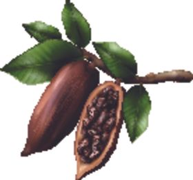 巧克力水果蔬菜