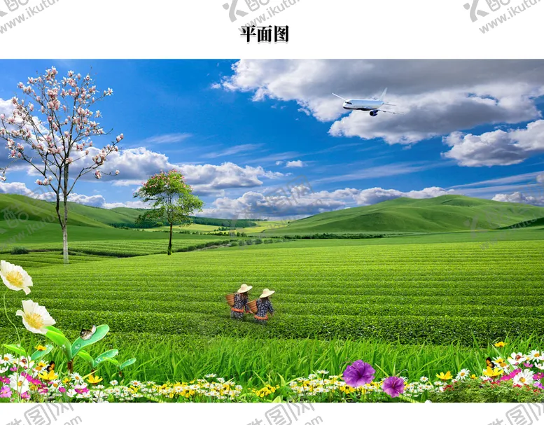 编号：38574109181520226532【酷图网】源文件下载-茶园采茶姑娘图片