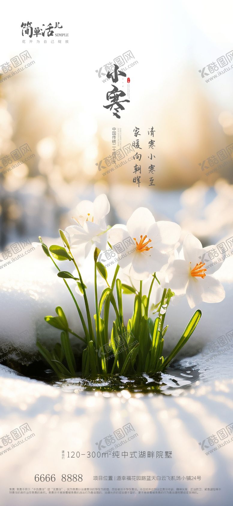 编号：93090612100304587541【酷图网】源文件下载-地产小寒大寒海报