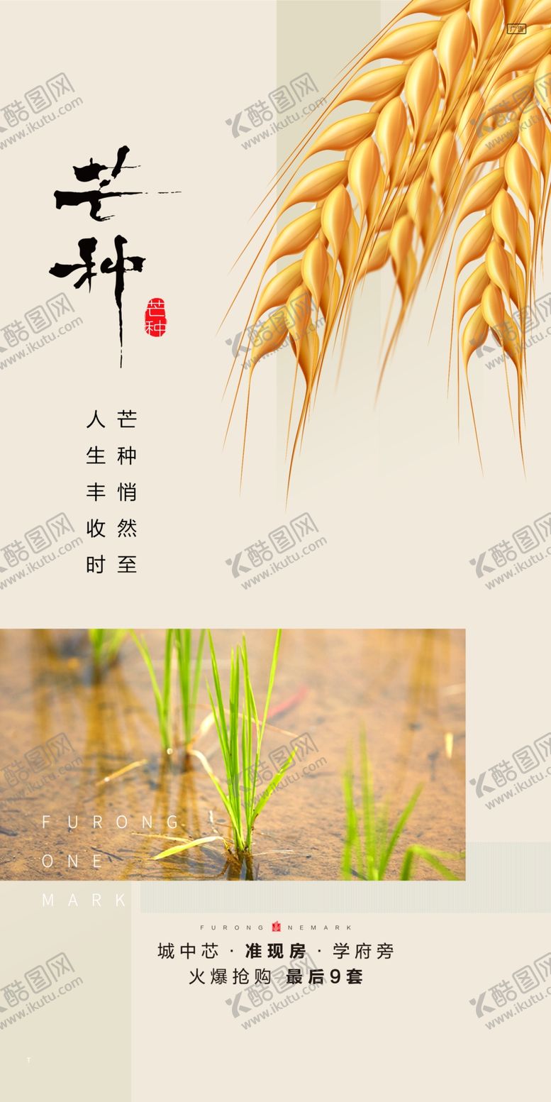 编号：29064110012220543901【酷图网】源文件下载-中国传统24节气芒种海报
