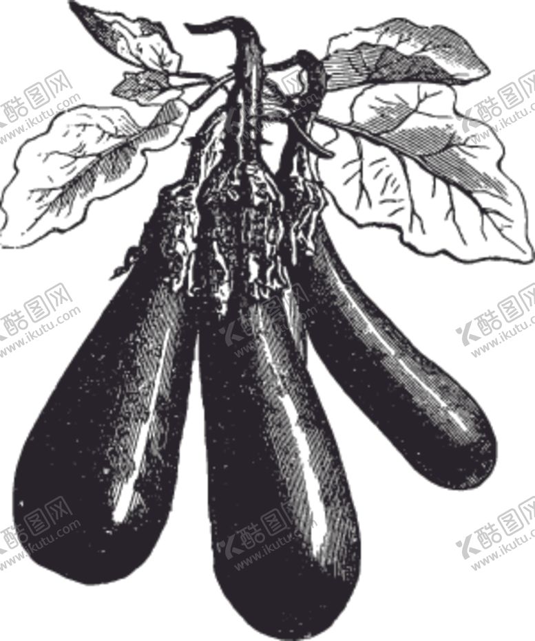 编号：90388309160124163658【酷图网】源文件下载-素描手绘蔬菜