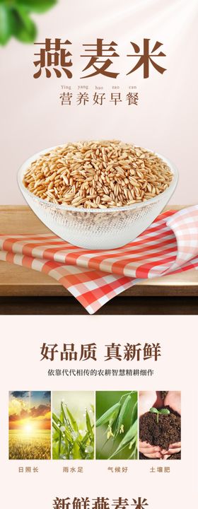 杂粮燕麦农产品详情页