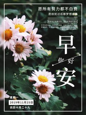 早安