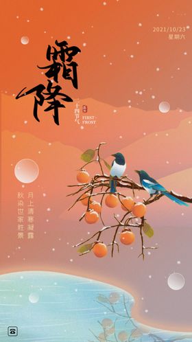霜降柿子大雪冬天二十四节气