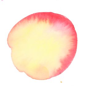 彩色花纹图案