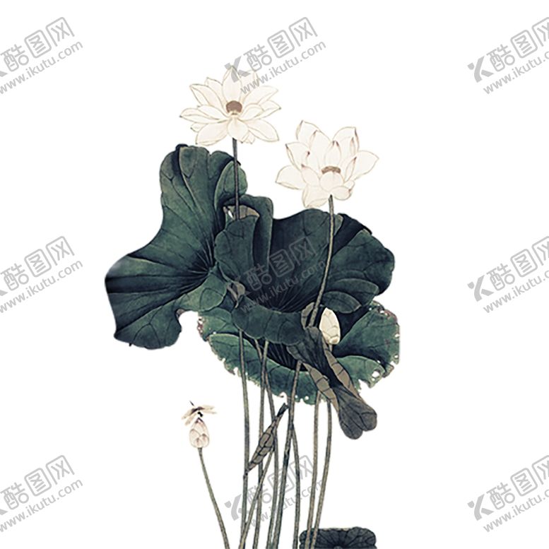 编号：60809907090727043682【酷图网】源文件下载-水墨荷花粉色荷花荷花意境