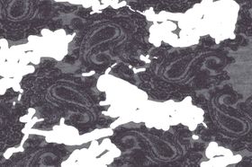 蓝白佩斯利花纹图案