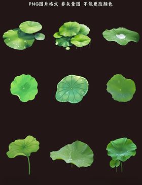 荷叶素材