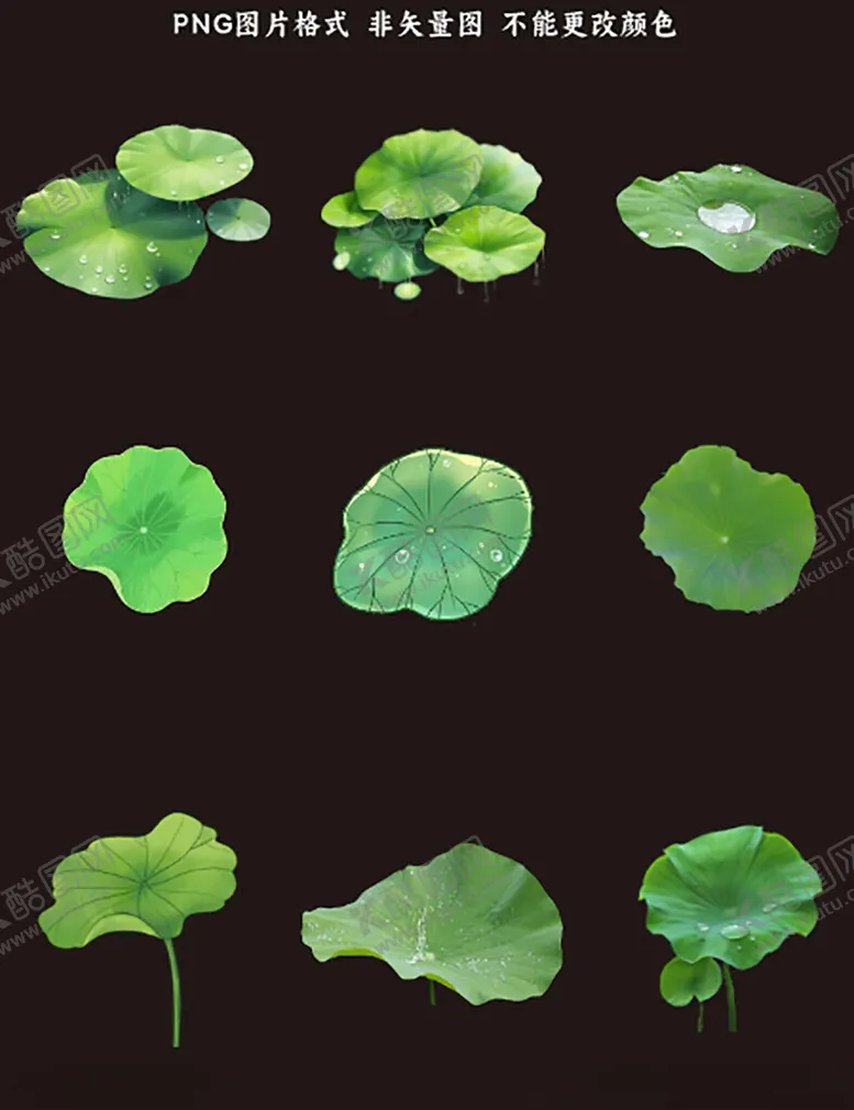 编号：15151004212223169164【酷图网】源文件下载-荷叶素材