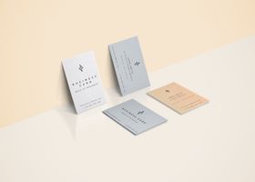 名片样机提案高端包装