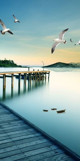 海边桥海鸥玄关图