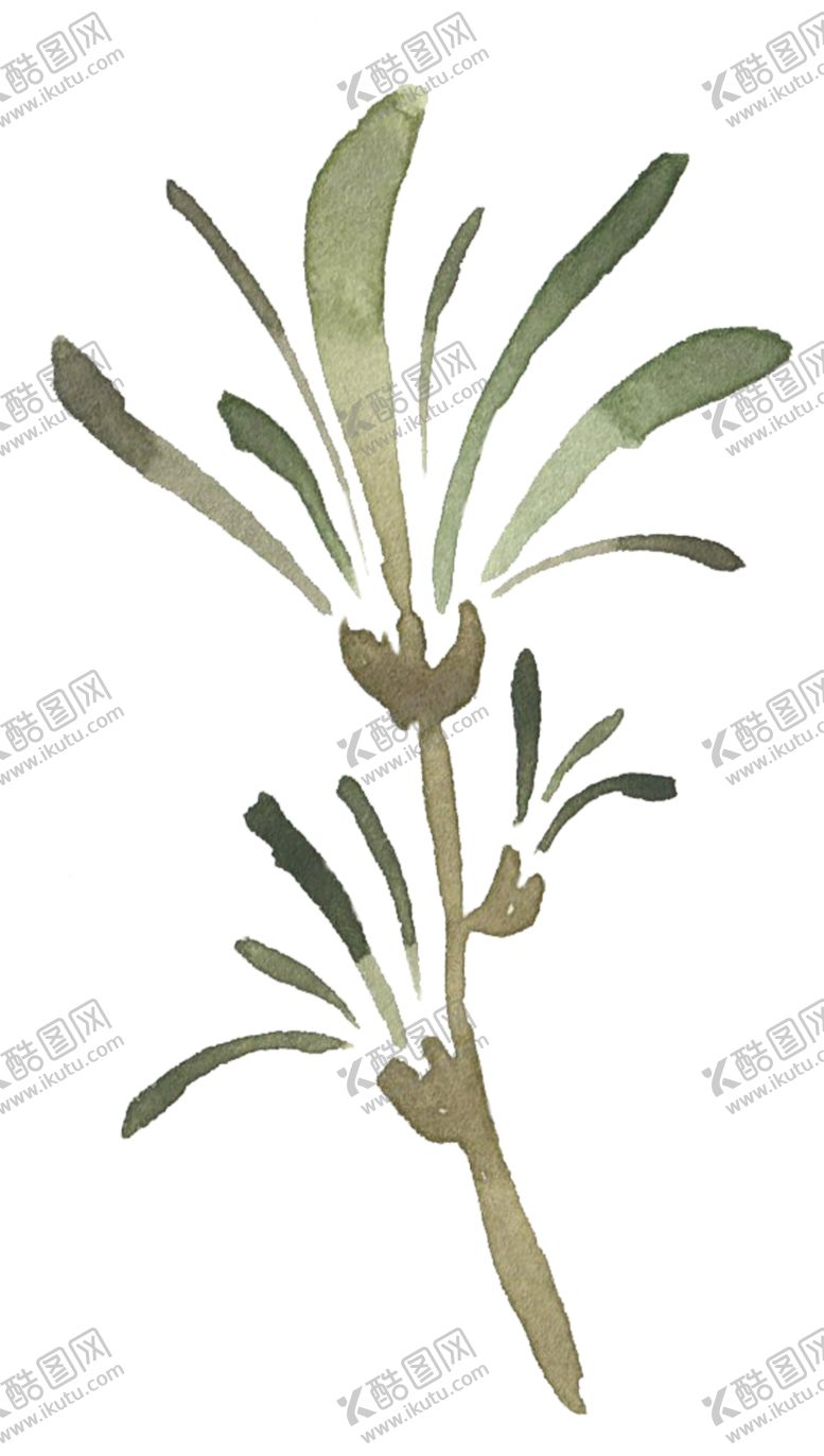编号：61150307122327563415【酷图网】源文件下载-手绘植物花卉