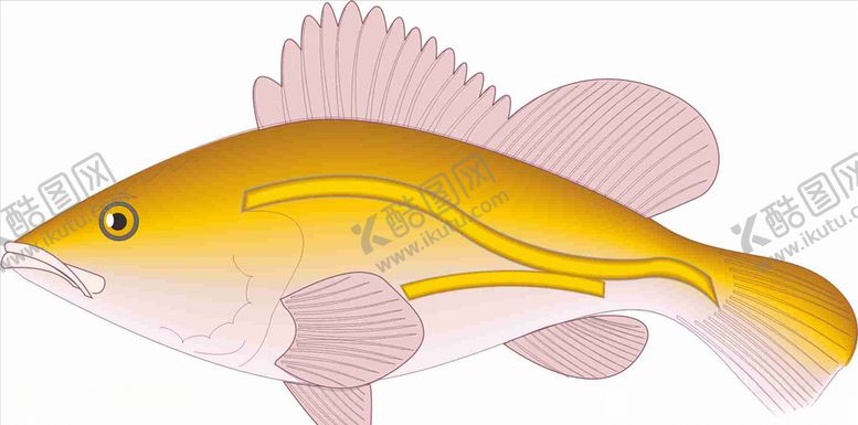编号：96257309251530236265【酷图网】源文件下载-黄色的鱼
