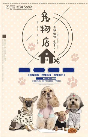 宠物海报