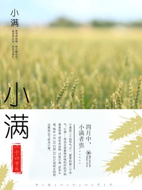 小满二十四节气节气海报宣传地产海报