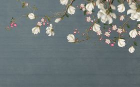 玉兰花背景墙