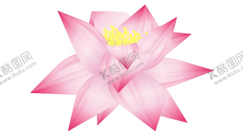 编号：92879909110449278671【酷图网】源文件下载-荷花