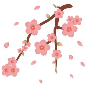 樱花素材