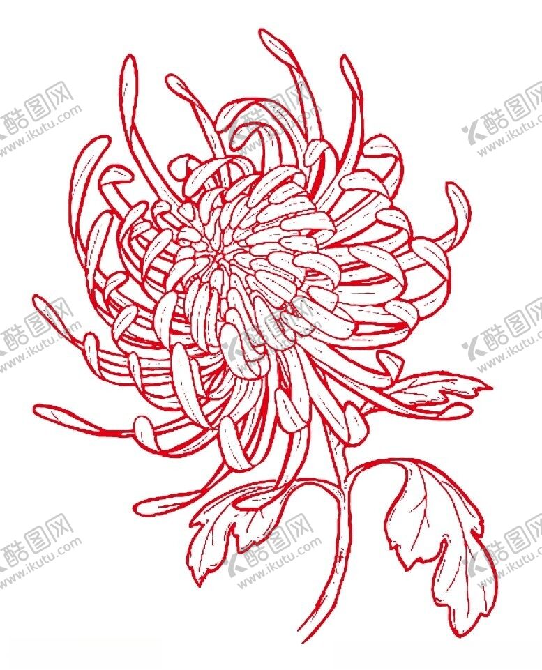 编号：41045901191523184759【酷图网】源文件下载-菊花