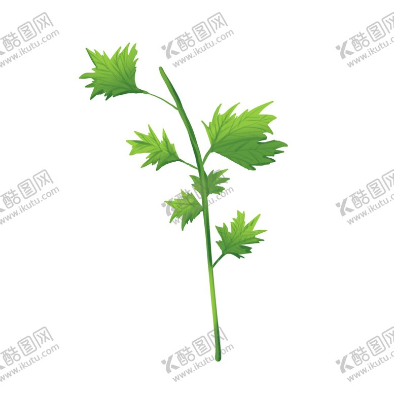编号：49350005160450504263【酷图网】源文件下载-草本植物药材