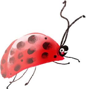 手绘七星瓢虫