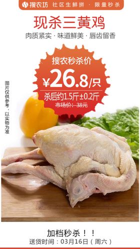 现杀三黄鸡