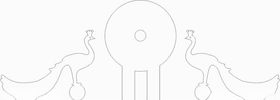 孔雀线条图