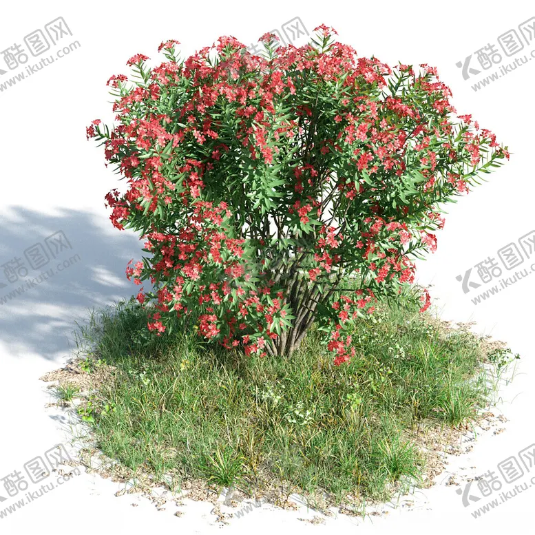 编号：79451901260717433354【酷图网】源文件下载-C4D模型绿色植物