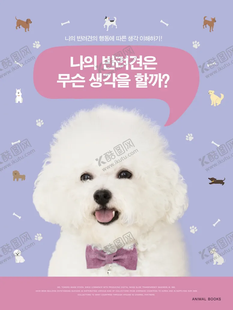 编号：96825906240235453425【酷图网】源文件下载-创意动物合成图片