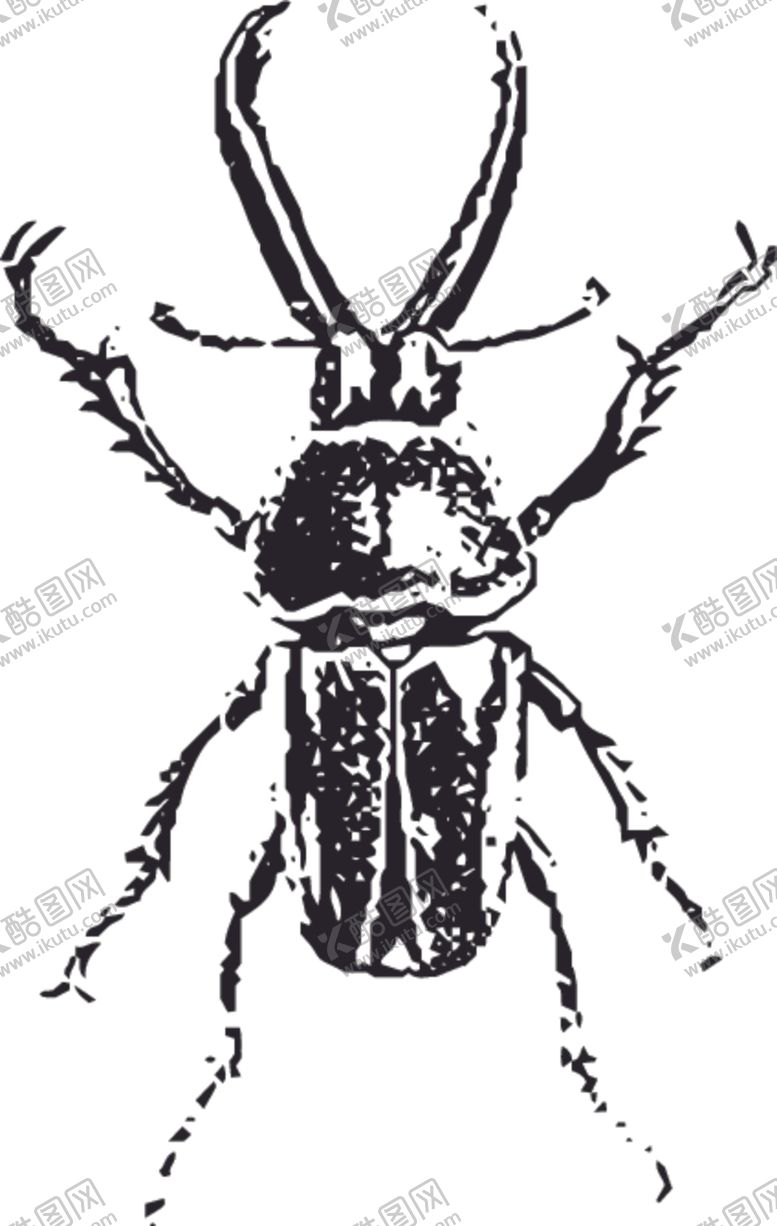 编号：61813607091536313666【酷图网】源文件下载-自然昆虫标本插画