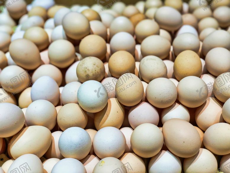 编号：63515710170332358330【酷图网】源文件下载-鲜鸡蛋