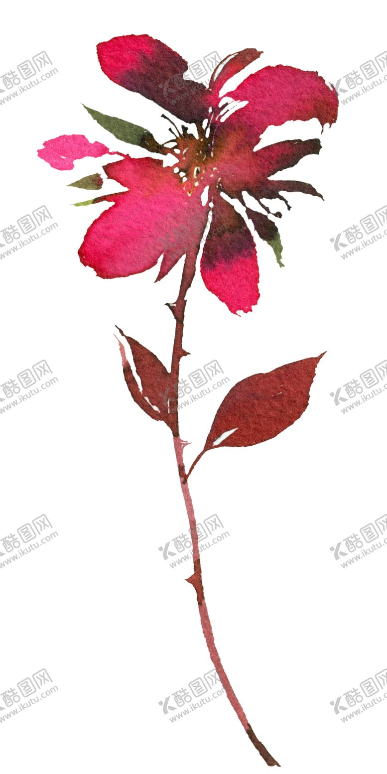 编号：45543402100550552657【酷图网】源文件下载-水彩花纹