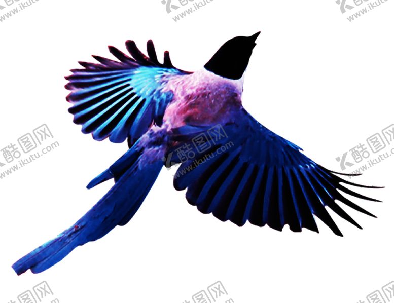 编号：83326709150248468050【酷图网】源文件下载-浪漫素材