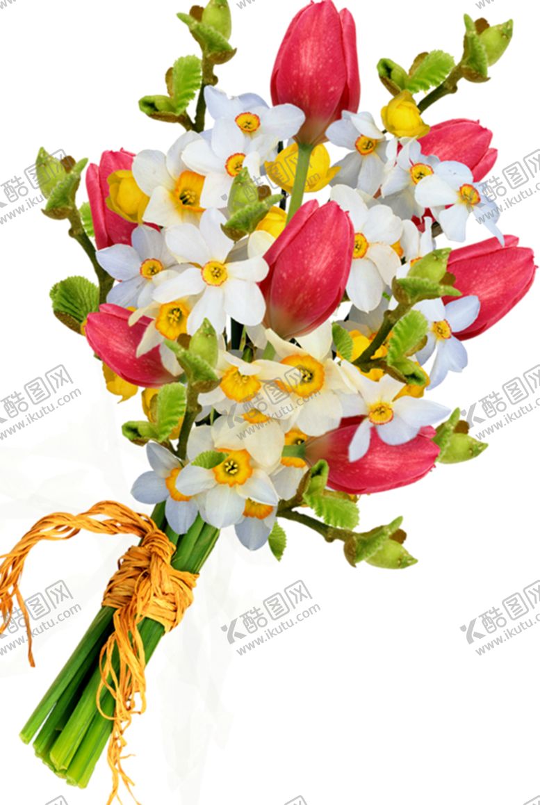 编号：55192305190824281213【酷图网】源文件下载-鲜花
