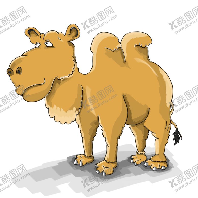 编号：14539402051450464615【酷图网】源文件下载-骆驼 