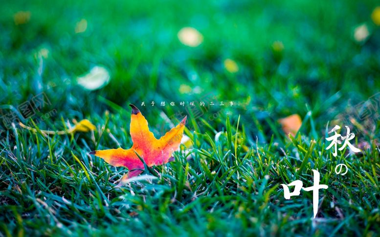 编号：61612509210857156633【酷图网】源文件下载-十月你好