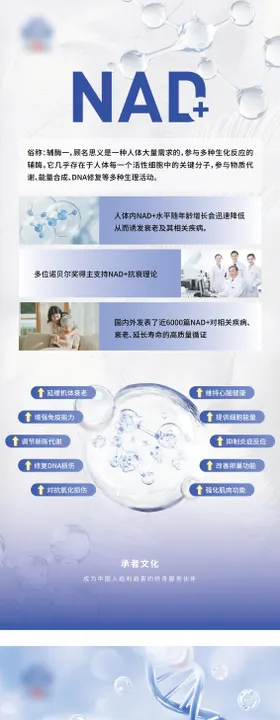 高档医美系列易拉宝展架