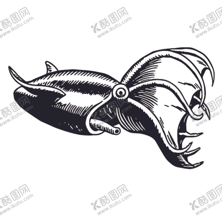 编号：35100510040052259540【酷图网】源文件下载-海洋生物鱼类图案