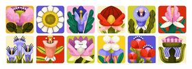 多彩花卉图案集合