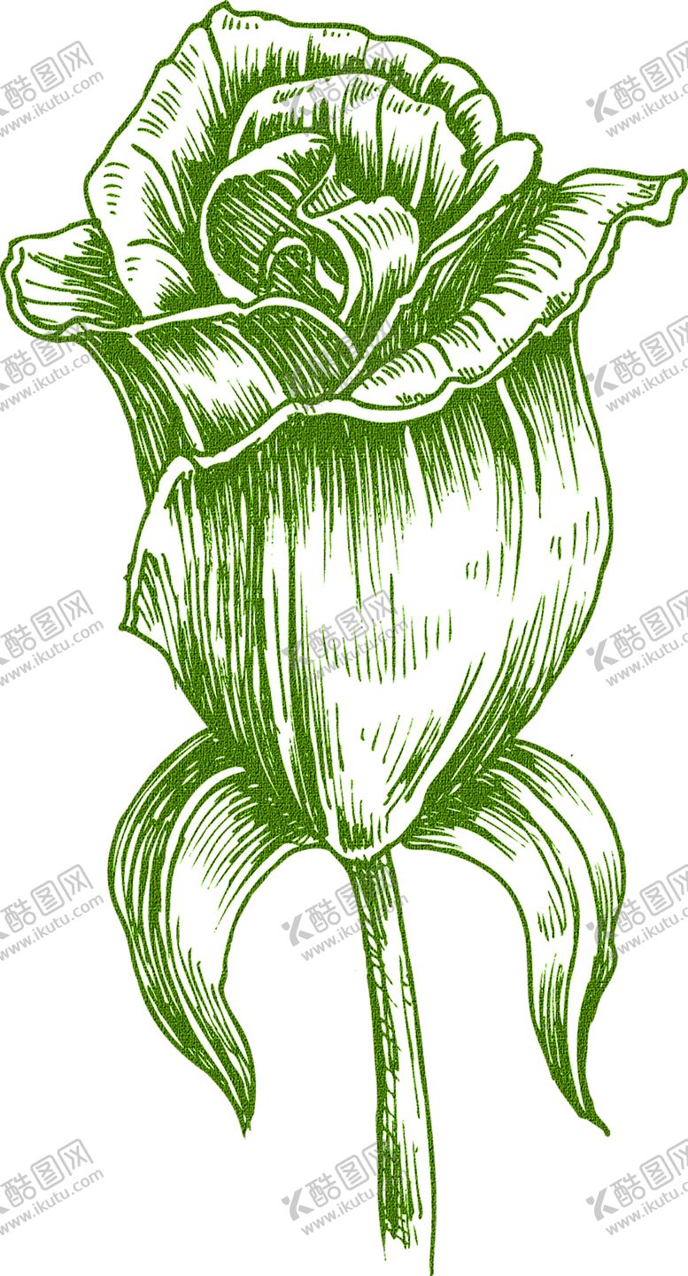 编号：30011209281535052541【酷图网】源文件下载-花素材