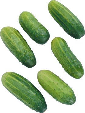 黄瓜