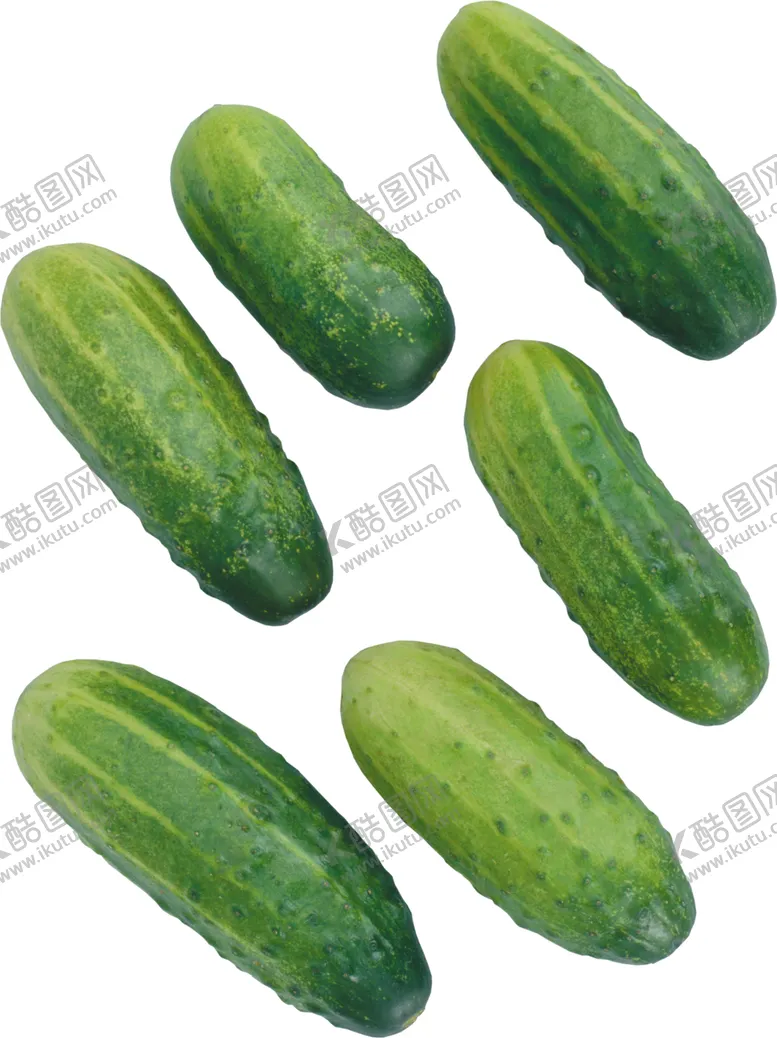 编号：41218305161633469610【酷图网】源文件下载-黄瓜