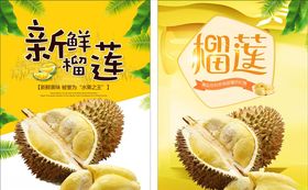 榴莲海报