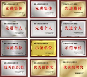 先进集体奖牌