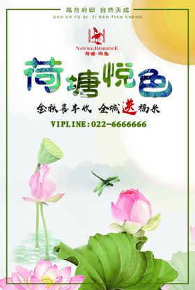 荷花中式荷塘地产水墨