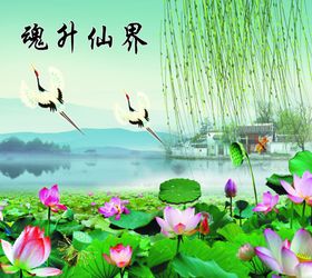 魂升仙界