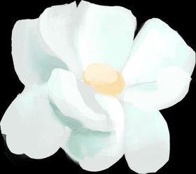 手绘鲜花