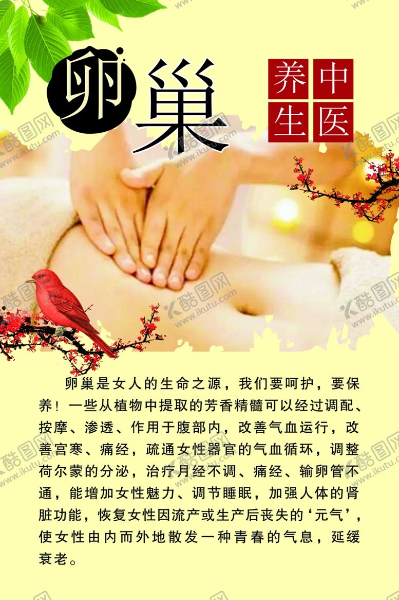 编号：39493506250532322755【酷图网】源文件下载-卵巢