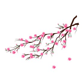 梅花素材